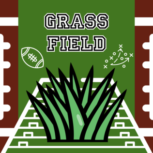 Football - Grass Football - Grass